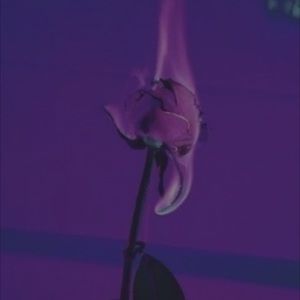 Meet your Posher, Mikayla